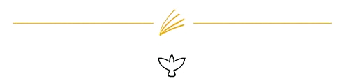Decorative divider with a dove
